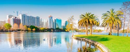 HealthCare Support Office