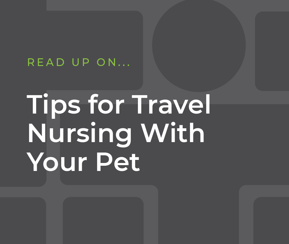Tips for Travel Nursing With Your Pet